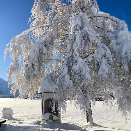 Geierwally Elbigenalp